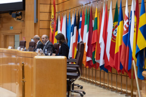 Conferentie inzake stabiliteit, economische cordinatie en bestuur in de EU