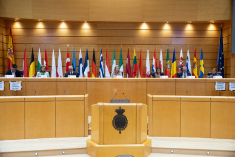 Conferentie inzake stabiliteit, economische cordinatie en bestuur in de EU