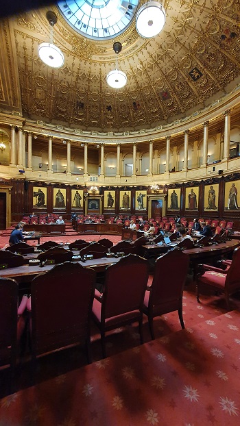 Creatie van een werkgroep rond het inschrijven in de Grondwet van de rechten van personen met een handicap