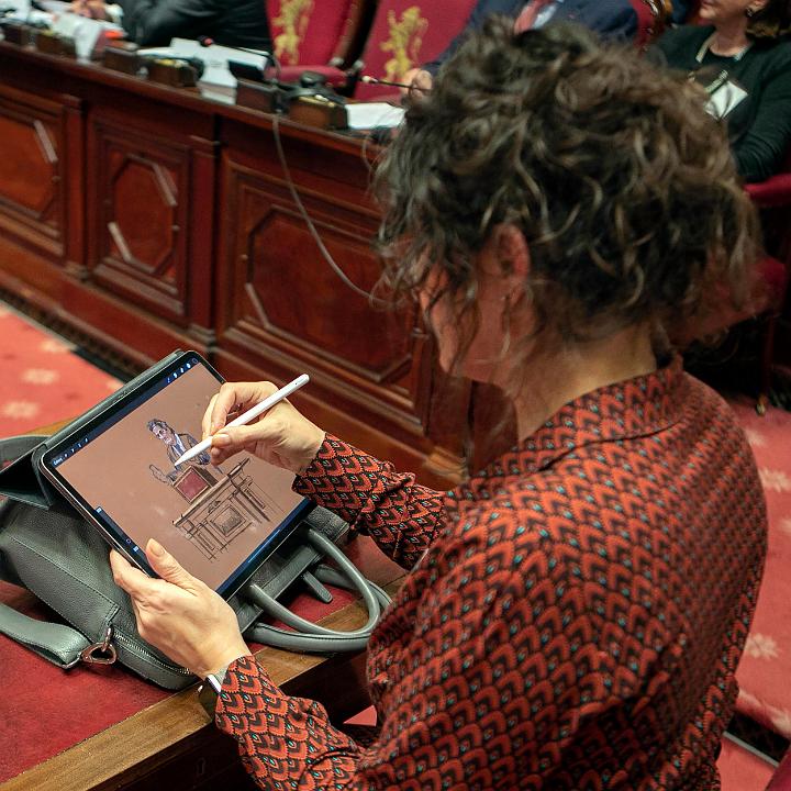 Europese dag van de advocatuur in de Senaat