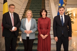 Bezoek van de Commissie voor de Europese Integratie van het Parlement van Georgië