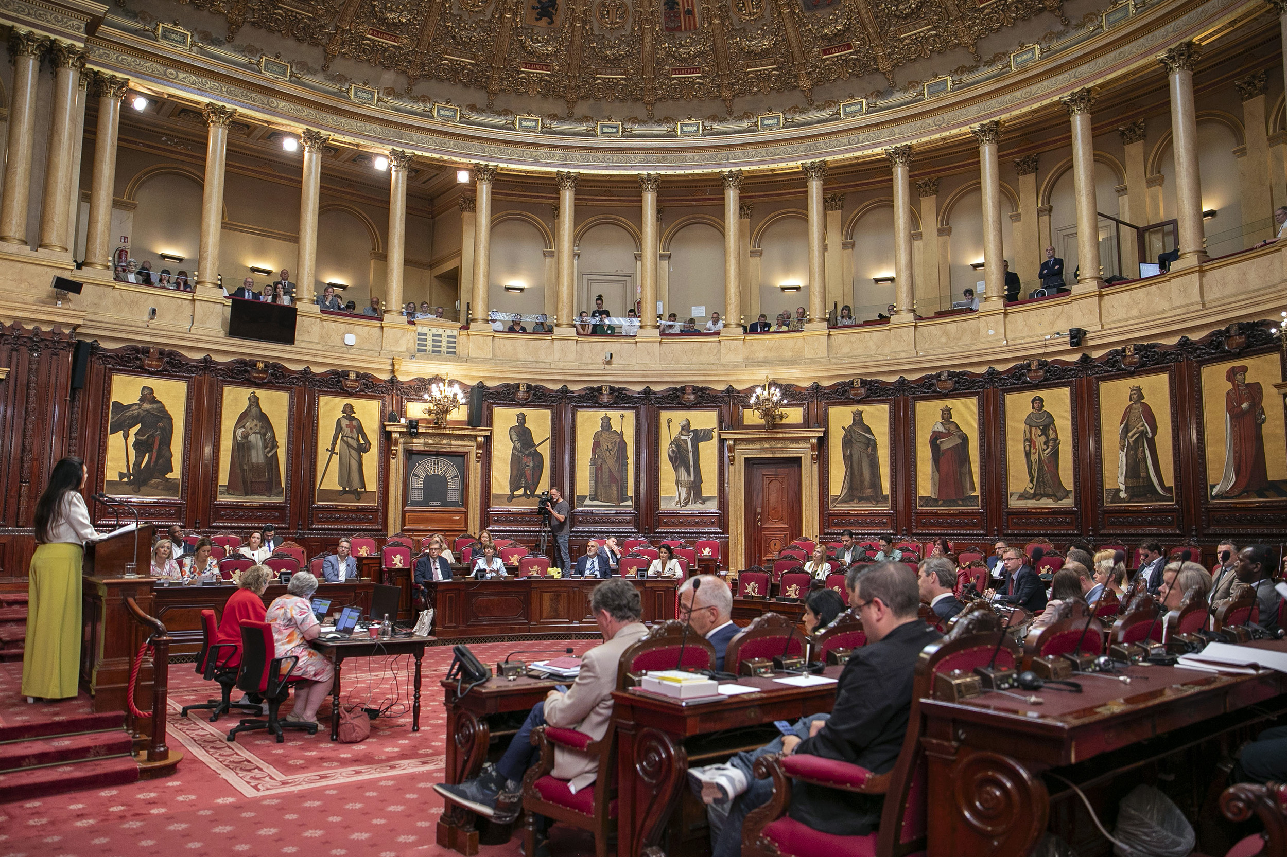  Nieuwe deelstaatsenatoren leggen de eed af